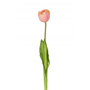 Tulipán růžový 43 cm