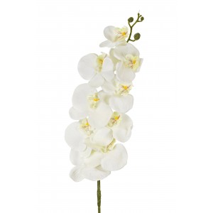 Orchidej Phalaenopsis 105 cm bílá