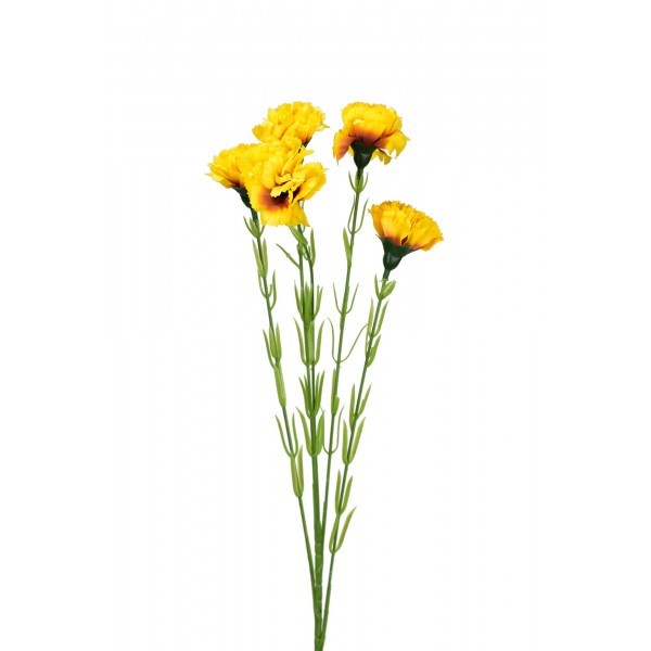 Trsový karafiát 61 cm, žlutý