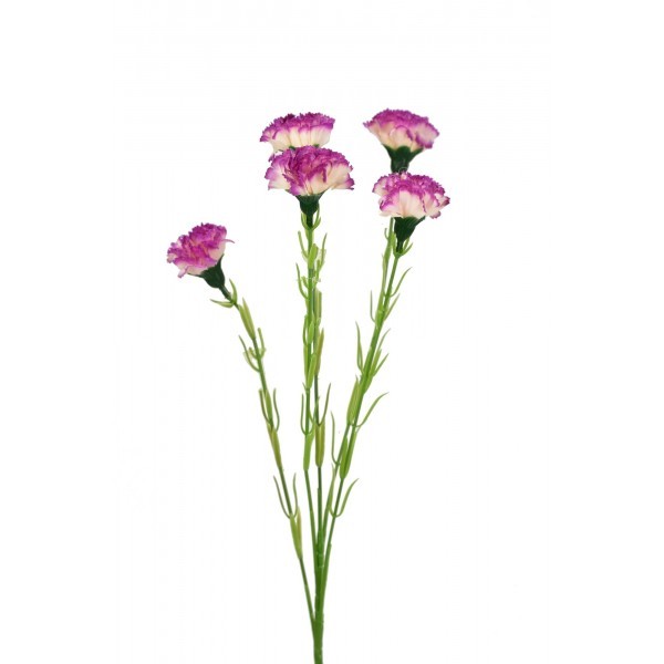 Trsový karafiát 61 cm, fialový