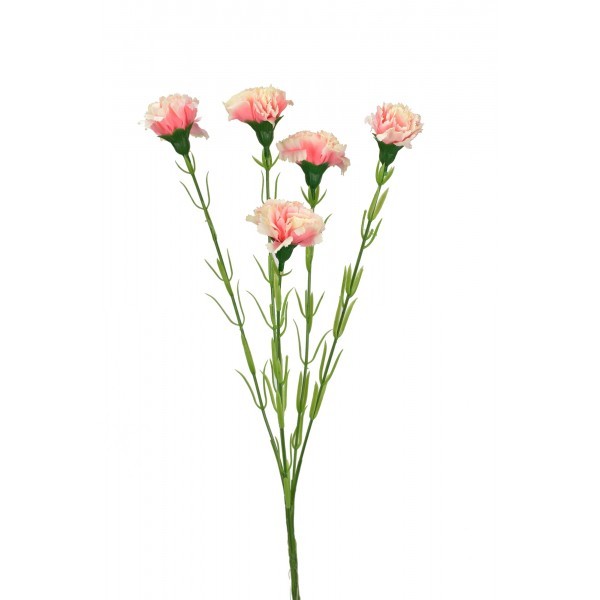 Trsový karafiát 61 cm, bílo - růžový 