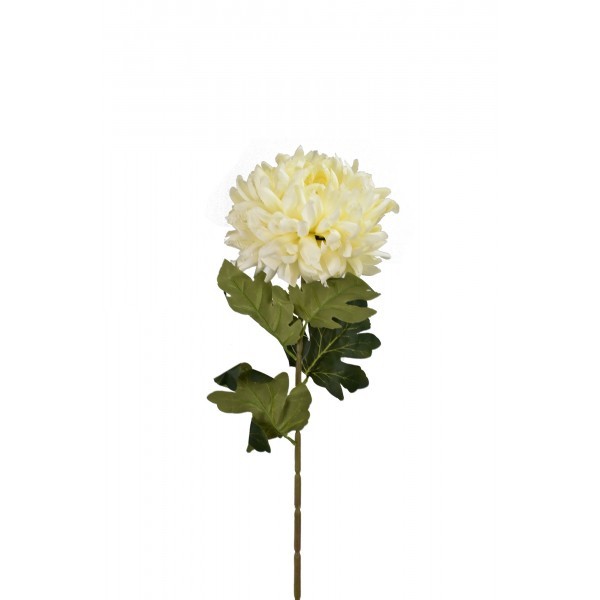 Chryzantéma krémová 74 cm