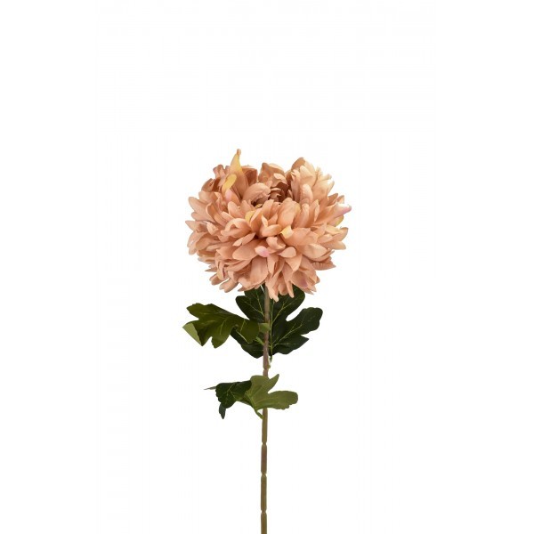 Chryzantéma starorůžová 74 cm