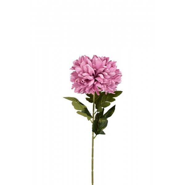 Chryzantéma fialová 74 cm