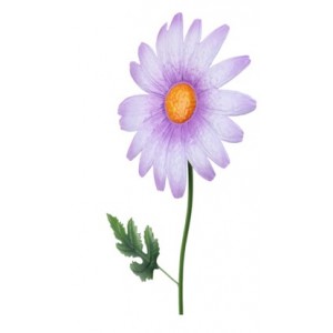 Kovový zápich Gerbera 80 cm C