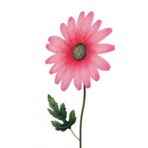 Kovový zápich Gerbera 80 cm D