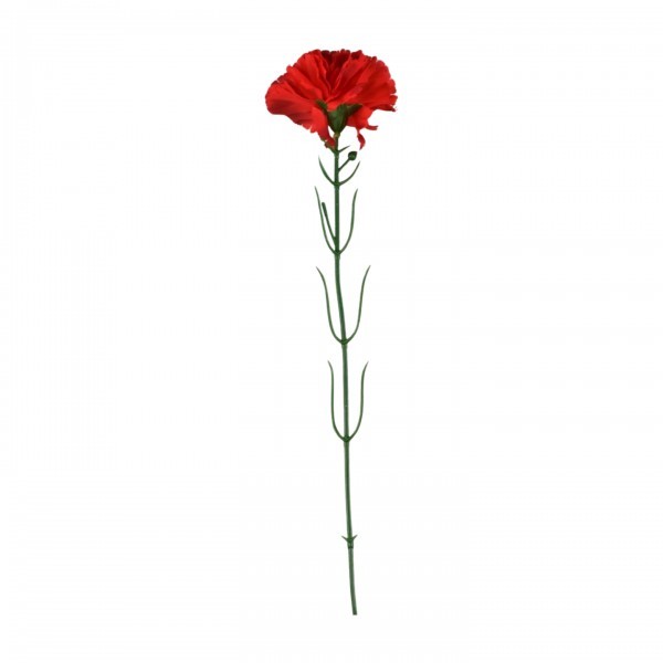 Umělý karafiát 50 cm červený, balení 6 ks