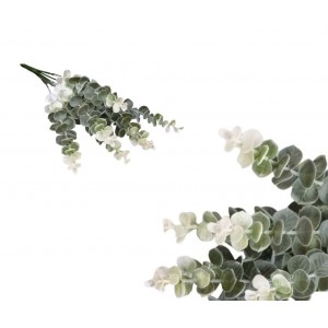 eukalyptus mix BX-4111