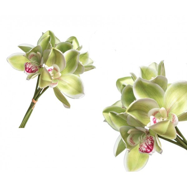Svazek zelených orchidejí 6ks, 36 cm