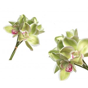 Svazek zelených orchidejí 6ks, 36 cm