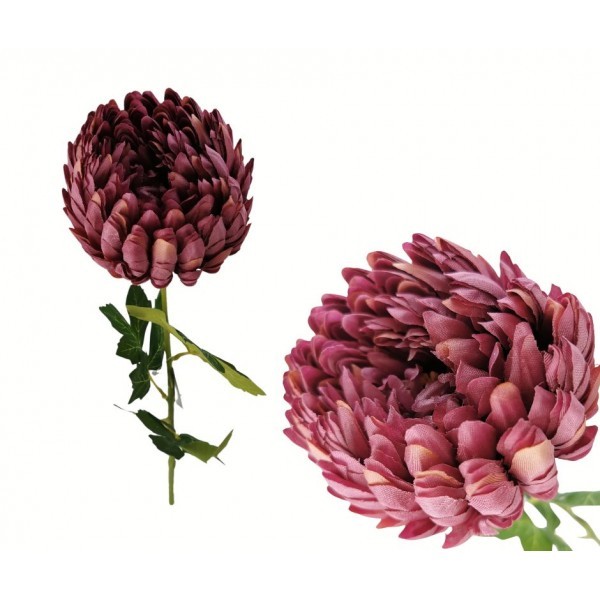 Chryzantéma bordó 70 cm