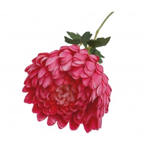 Chryzantéma červená 70 cm