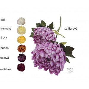 Chryzantéma hnědá 70 cm