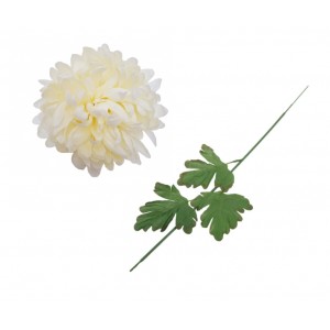 Chryzantéma vanilková 65 cm, sada 6 ks