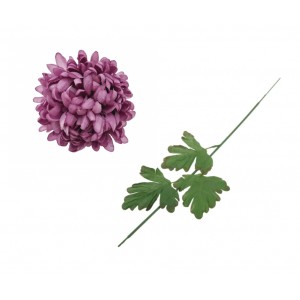 Chryzantéma lila 65 cm, sada 6ks