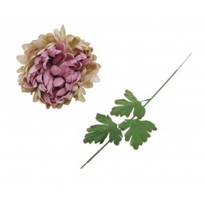 Chryzantéma růžová 65 cm, sada 6ks