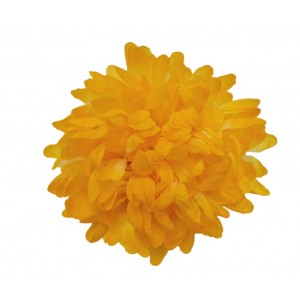 Chryzantéma žlutá 14 cm, sada 12 ks