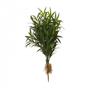 Dekorativní zelená listnatá větvička – 50 cm, sada 6 ks