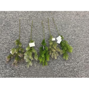 Sada 15 kusů dekorativních větviček - asparagus, mix barev