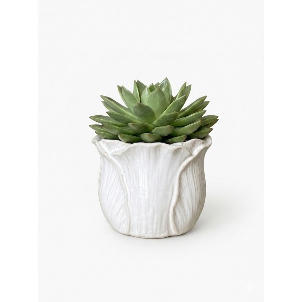 Keramický květináč Ø 12 cm okvětní lístky – bílá/krémová