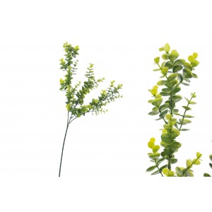 Umělý eukalyptus světle zelený, 65 cm, sada 6 ks
