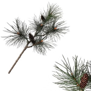 Dekorativní borovicová větev s šiškami 68 cm