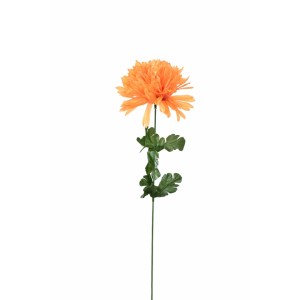 Chryzantéma jehlicovitá oranžová 50 cm