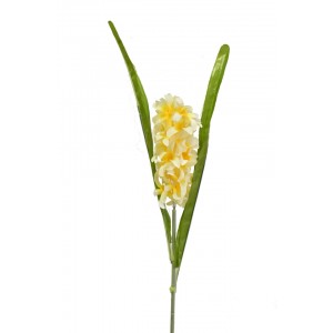Hyacint balení 3 ks, 60 cm, žlutý