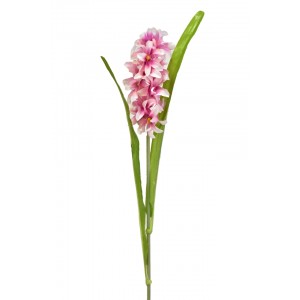 Hyacint 60 cm, růžový