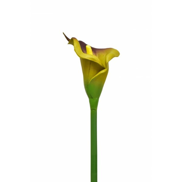 Umělá kala okrová, 63 cm