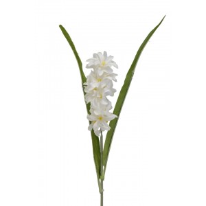 Hyacint 60 cm, krémový