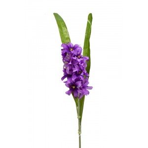 Hyacint 60 cm, fialový
