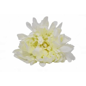 Vazbová chryzantéma 15 cm, bílá
