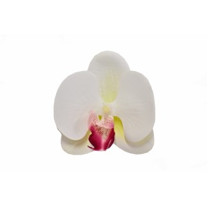 Vazbový Phalaenopsis 9x9x3,5 cm, bílo-růžový