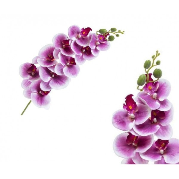 Orchidej Phalaenopsis 95 cm, lila