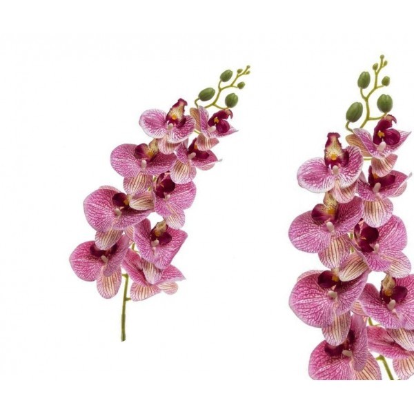 Orchidej Phalaenopsis 95 cm, růžový