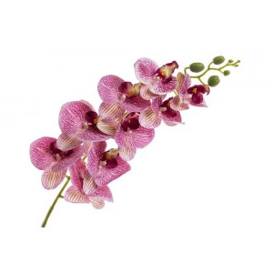 Orchidej Phalaenopsis 95 cm, růžový