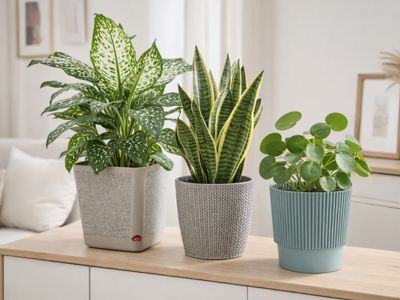 Plastové květináče nyní se slevou až 30 % 