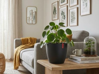 Plastové květináče Magnolia lesk nově v elegantní antracitové barvě