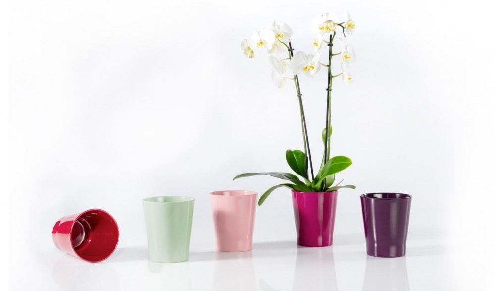 květináče pro orchideje