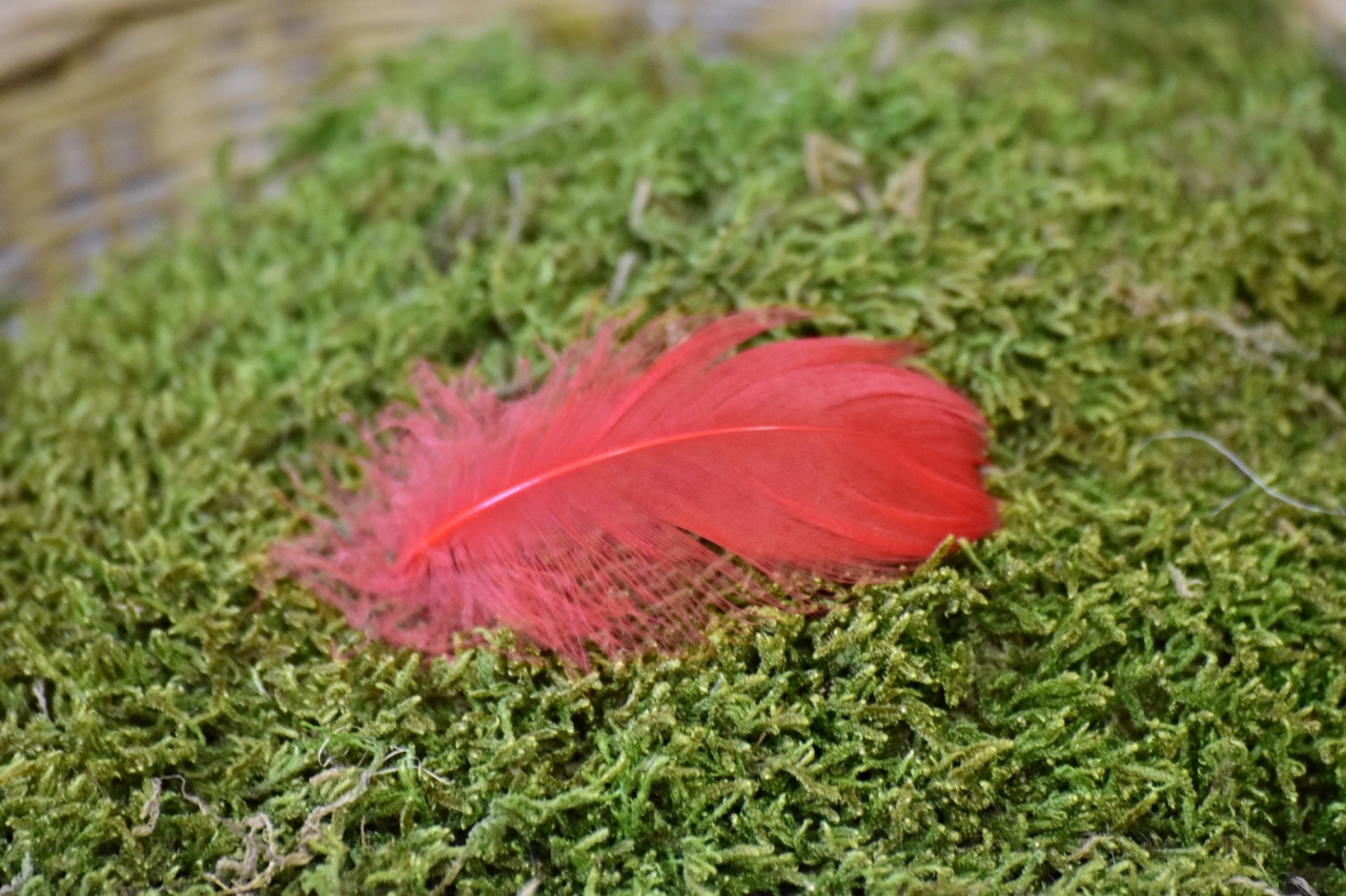 Dekorační pírka červená