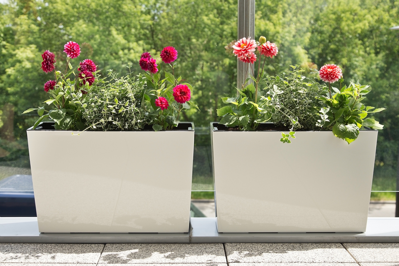 Truhlík  Werbena lesklý 190x560 mm, krémový