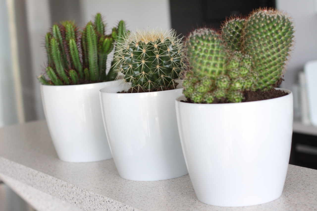 Plastový květináč Magnolia 135 mm, bílý perleťový