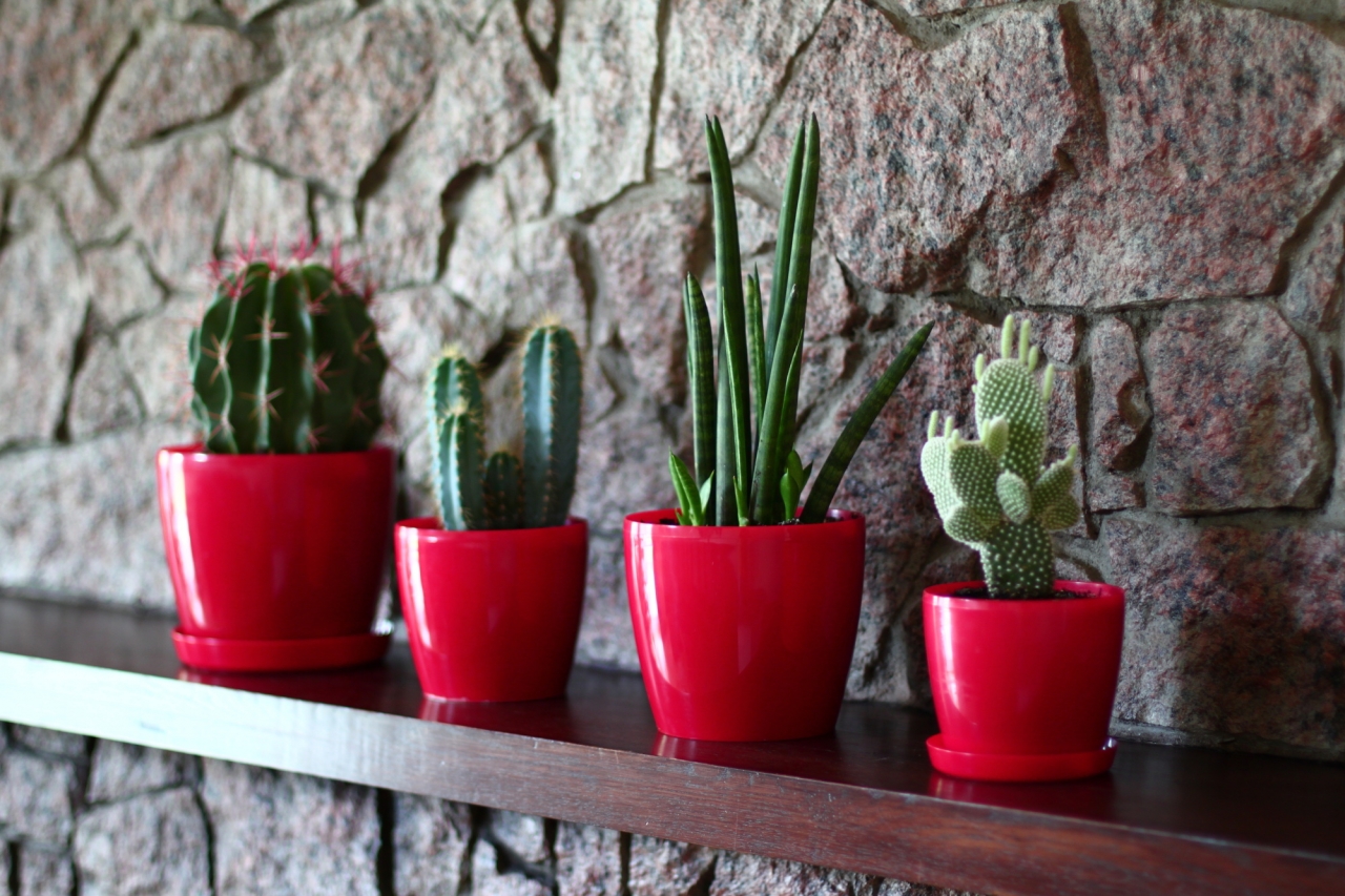 Plastový květináč Magnolia 155 mm, červený