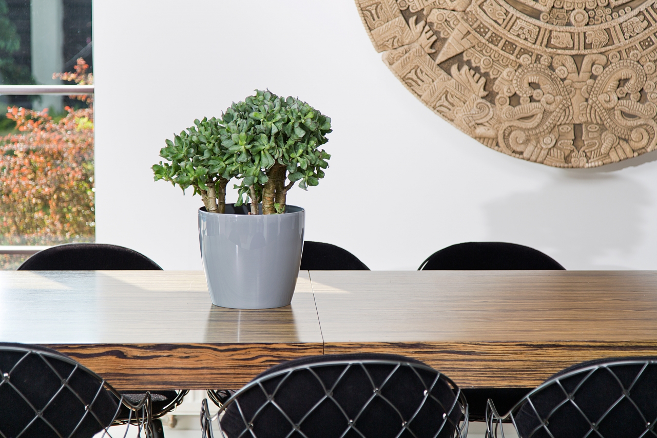 Plastový květináč Magnolia 180 mm, šedý