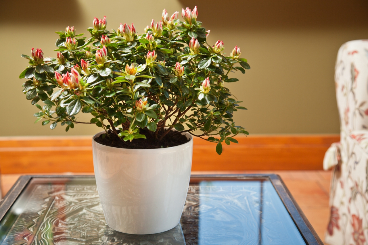 Plastový květináč Magnolia 180 mm, bílý perleťový