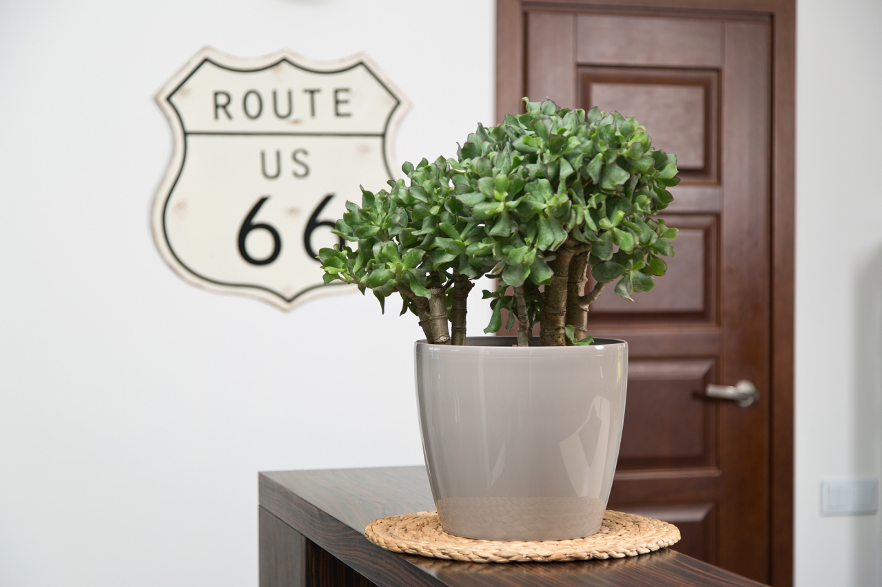 Plastový květináč Magnolia 250 mm, taupe