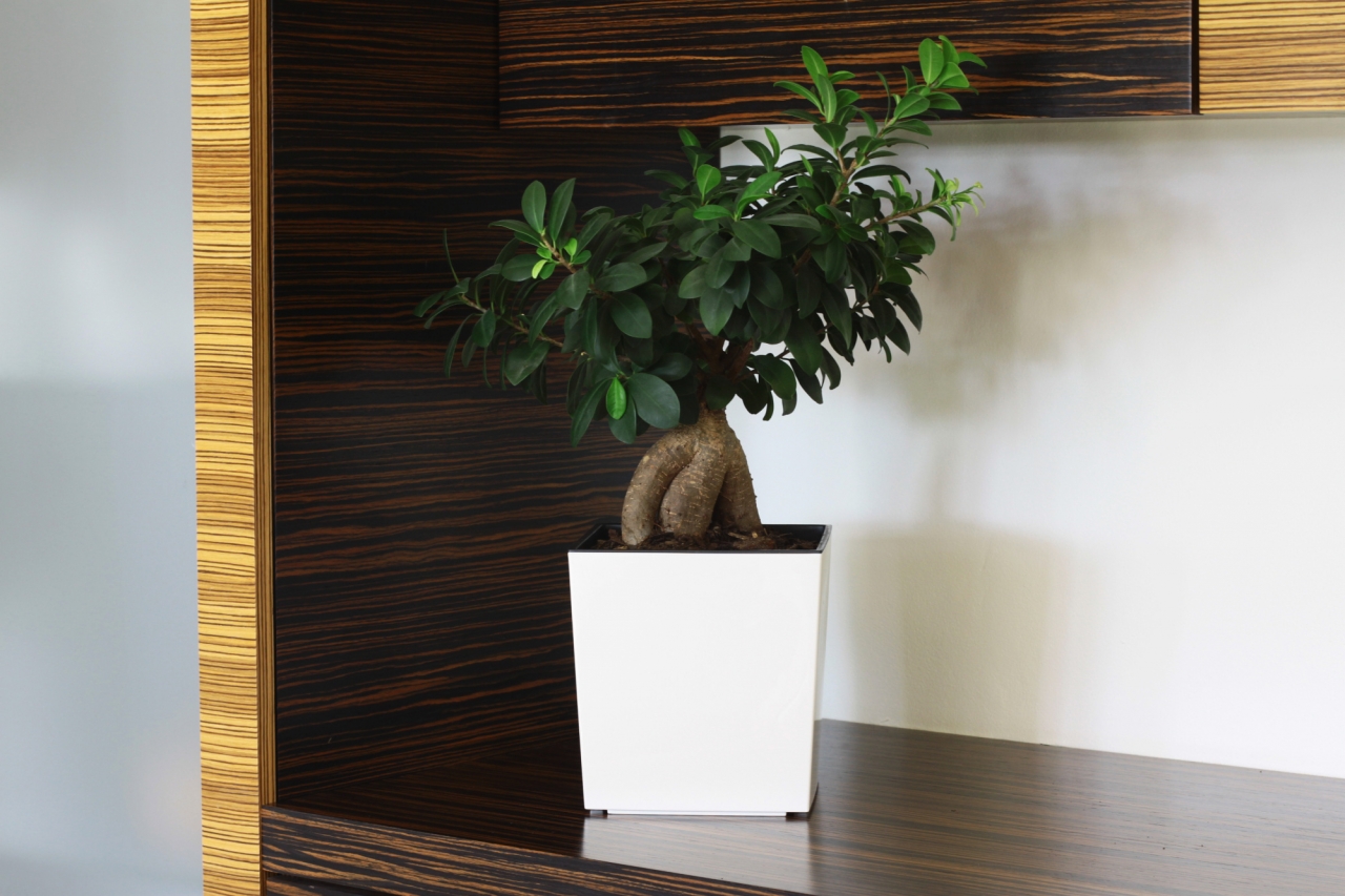 Plastový květináč Juka 300x300 mm, krémový