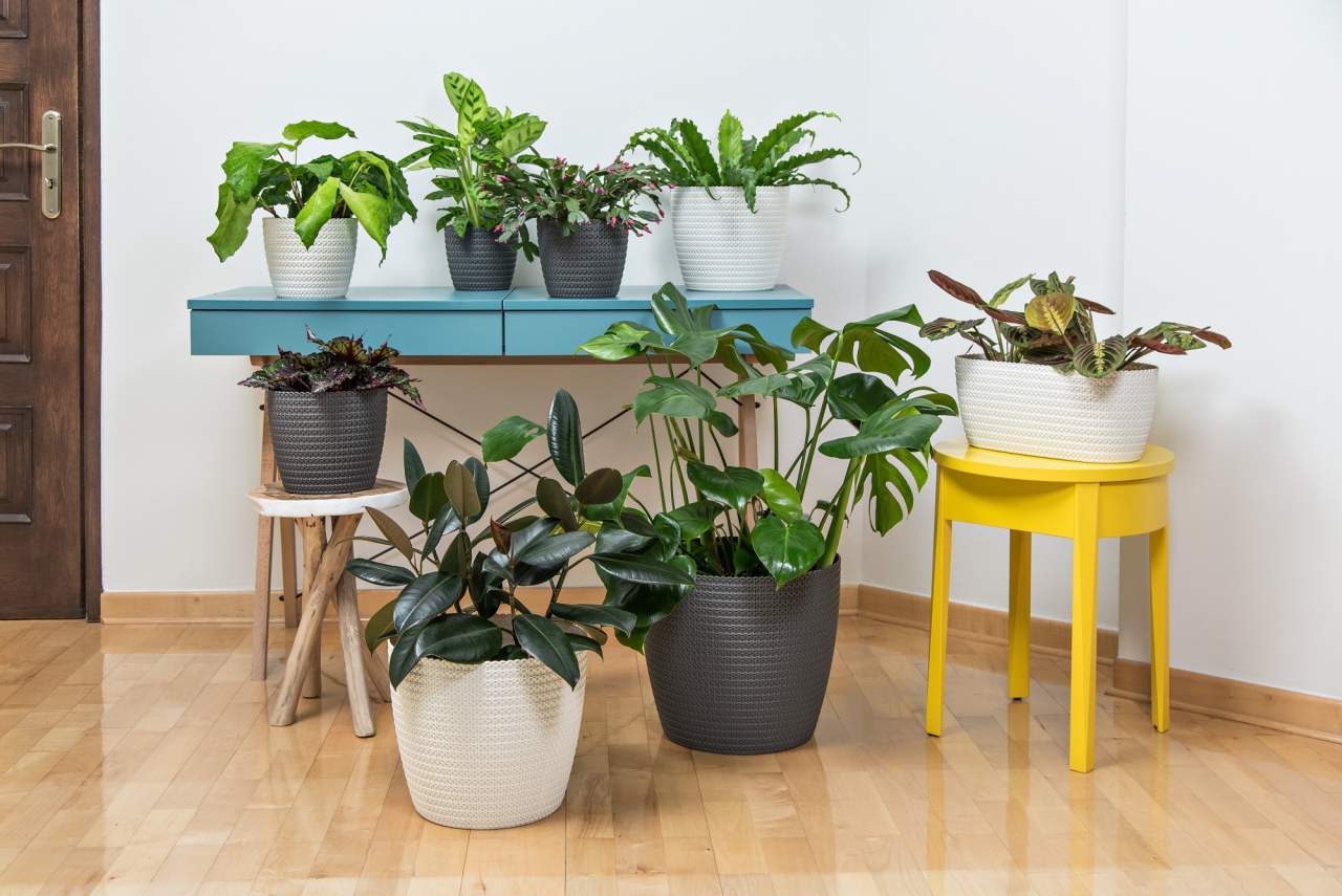 Plastový květináč Magnolia Jersey 110 mm, šedý