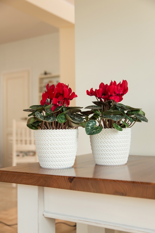 Plastový květináč Magnolia Jersey 110 mm, krémový